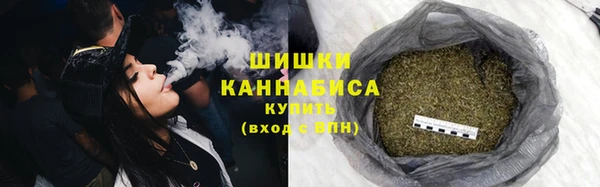 прущие грибы Арсеньев