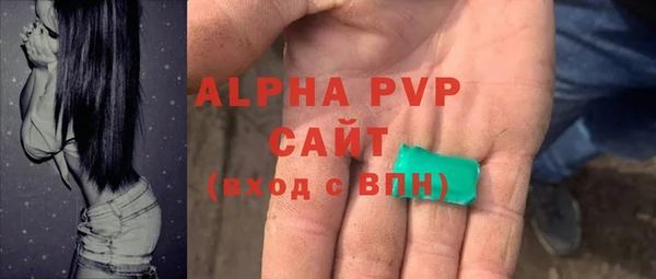 прущие грибы Арсеньев