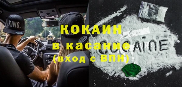 прущие грибы Арсеньев