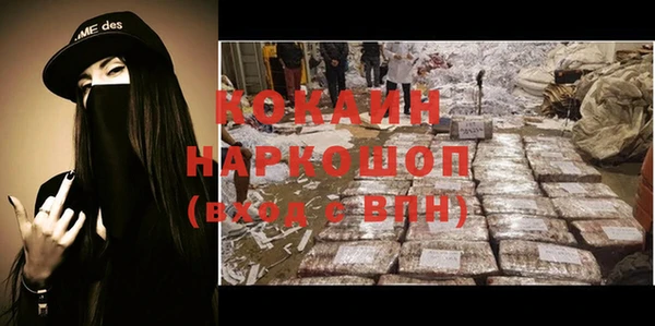 прущие грибы Арсеньев