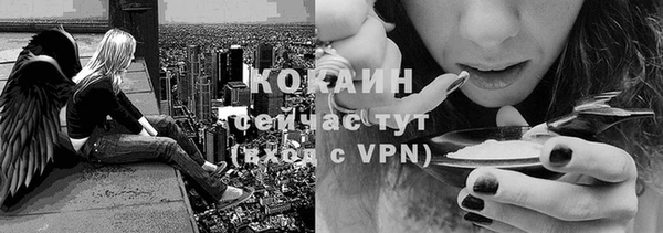 молекула духа Аркадак