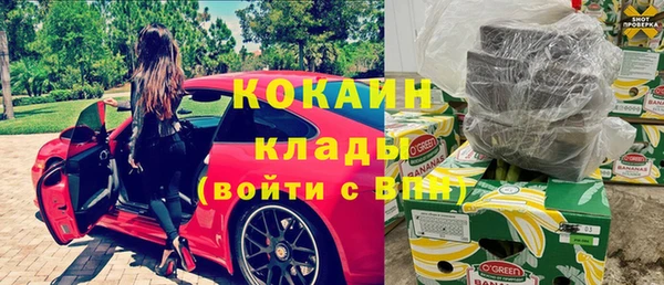 прущие грибы Арсеньев
