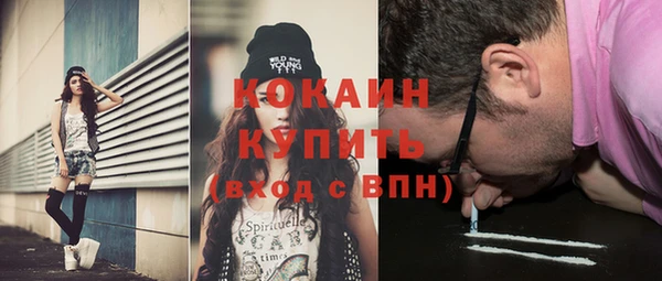 прущие грибы Арсеньев