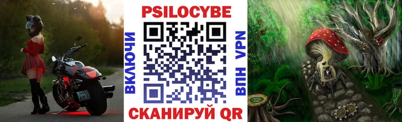дарнет шоп  Свободный  Псилоцибиновые грибы GOLDEN TEACHER 